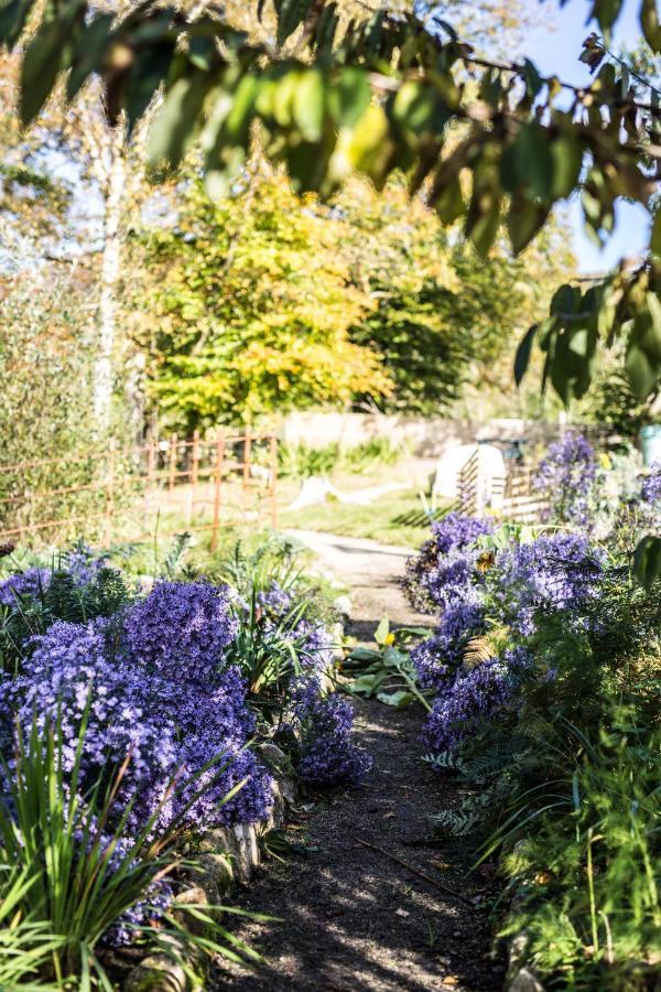 The Wicklow Escape (Adults Only) Donard 外观 照片