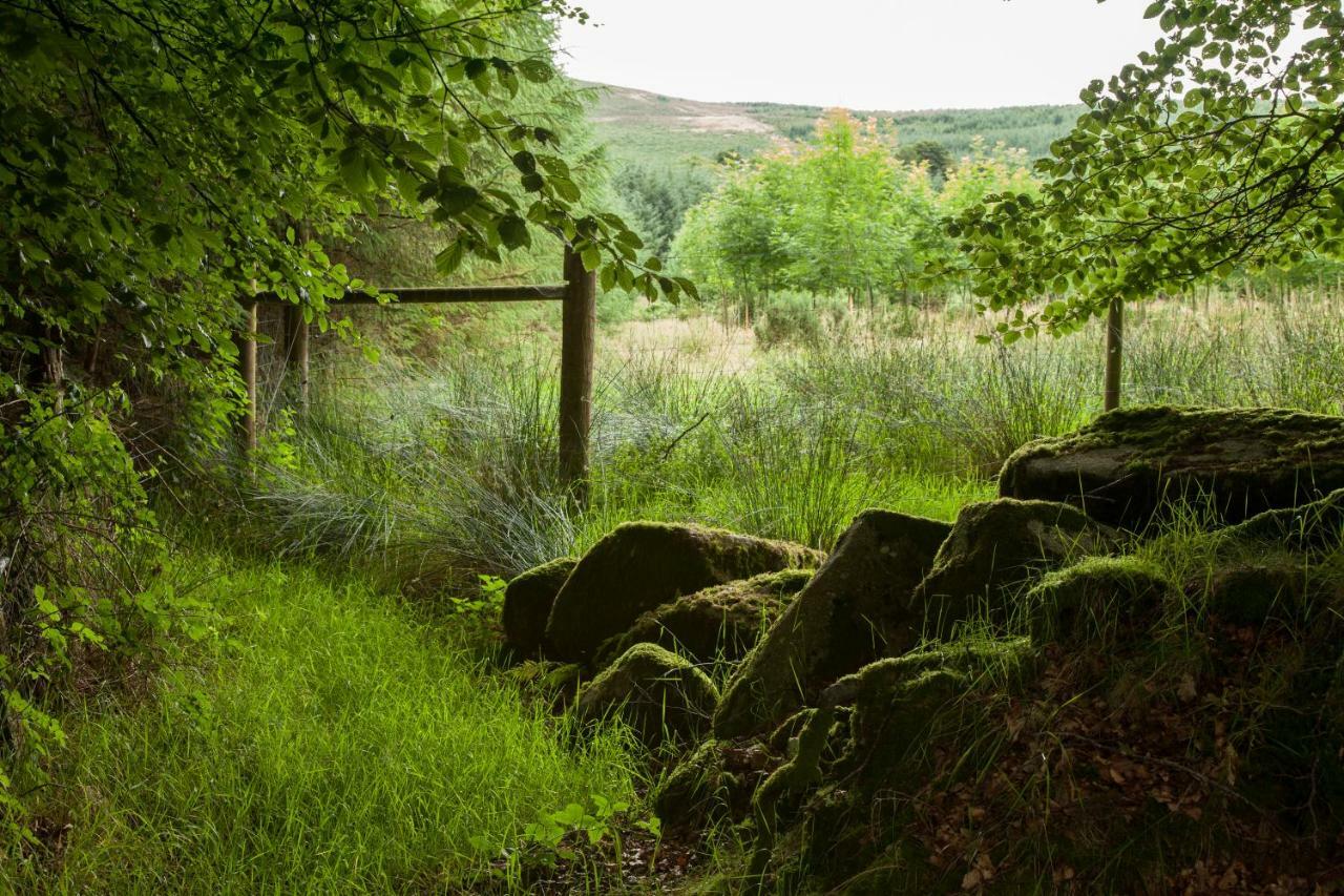 The Wicklow Escape (Adults Only) Donard 外观 照片