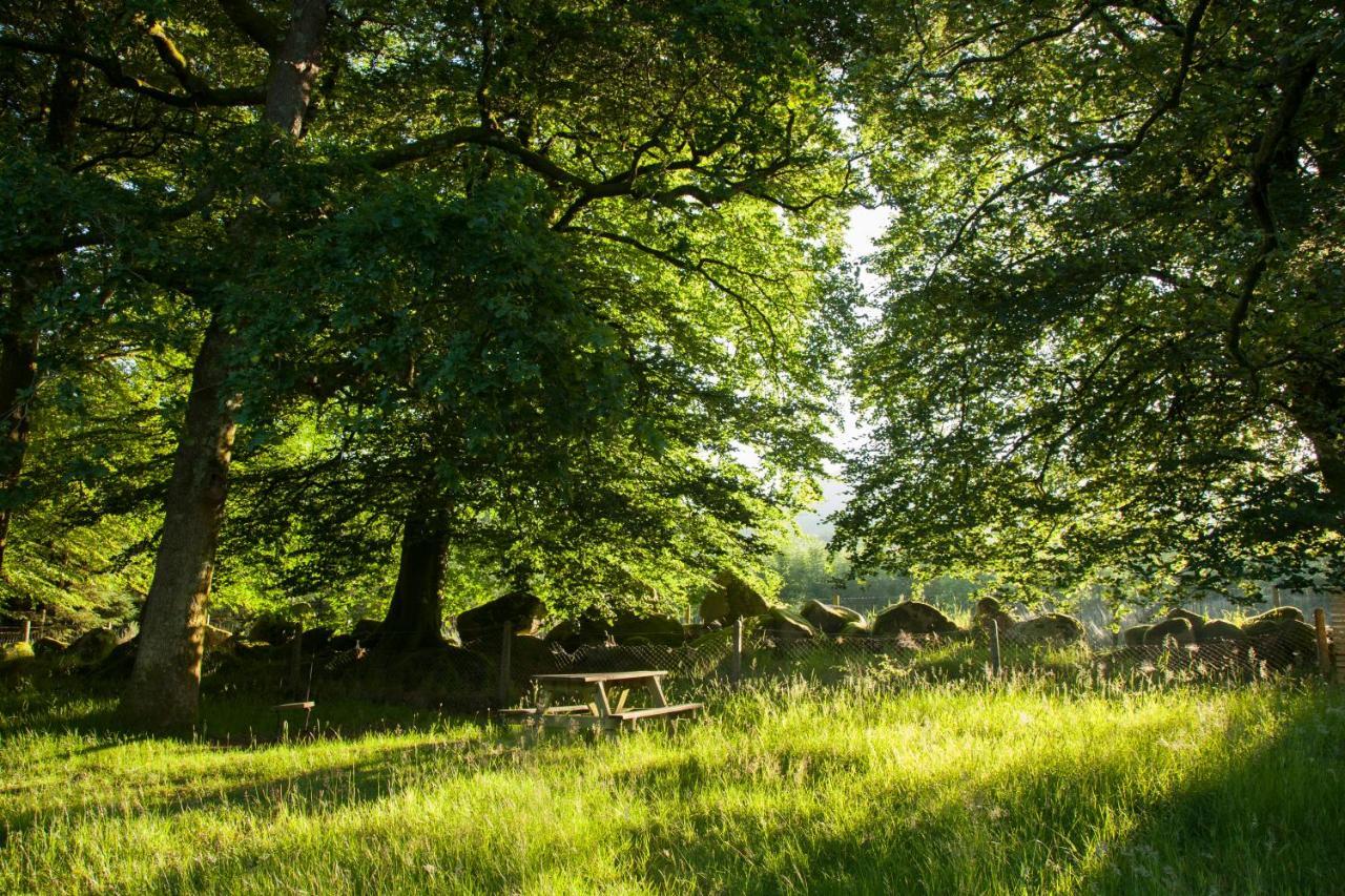 The Wicklow Escape (Adults Only) Donard 外观 照片